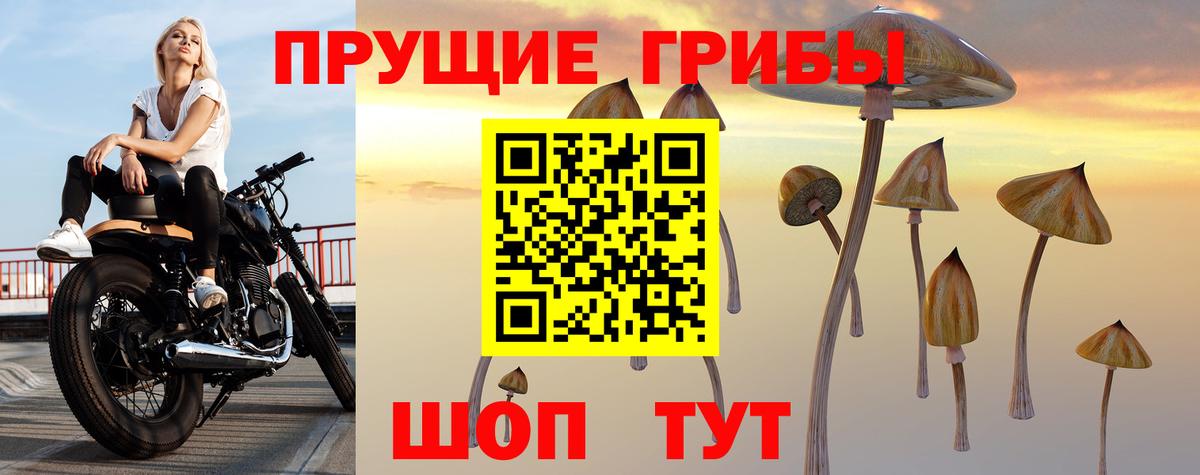 Димитровград  Галлюциногенные грибы ЛСД  Вход с VPN 